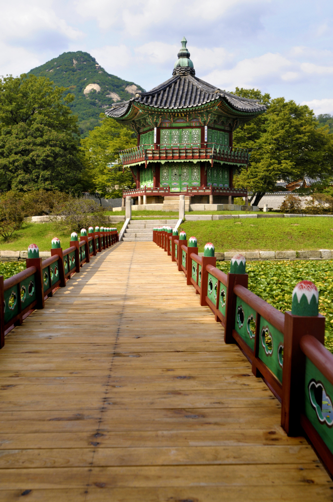 Seoul Summer Offer