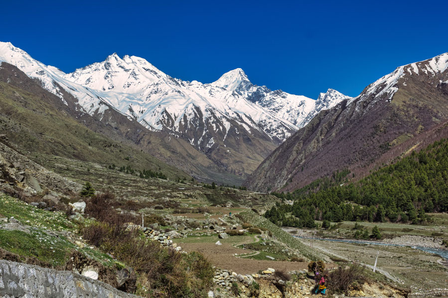 Langtang Valley Trek 8 Days & 7 Nights